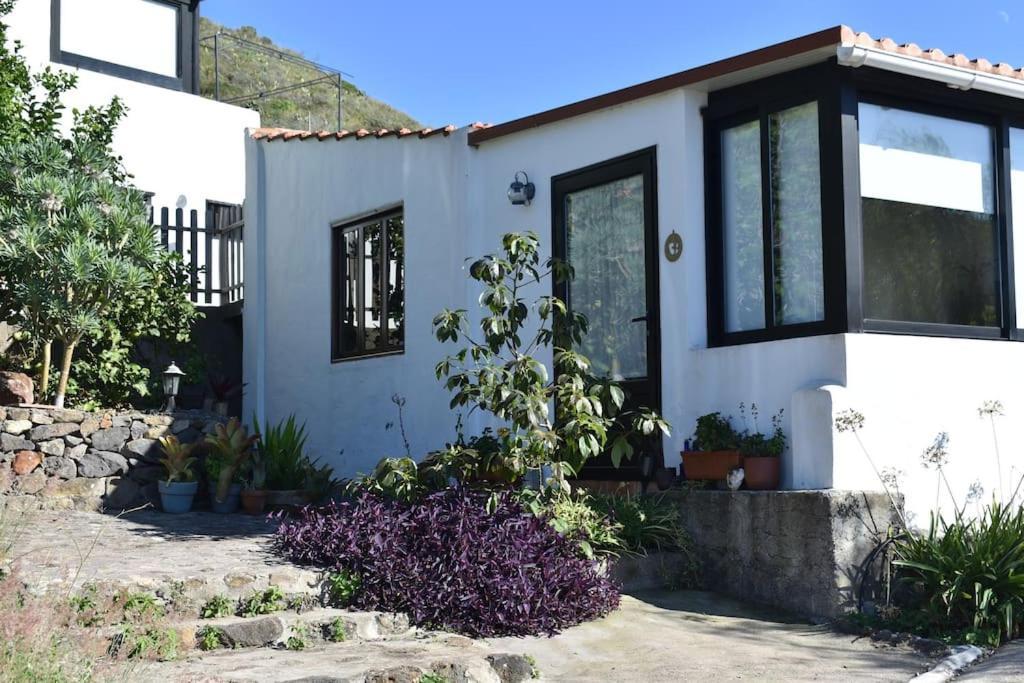 Casita De La Montana De Maria Villa Tegueste Kültér fotó