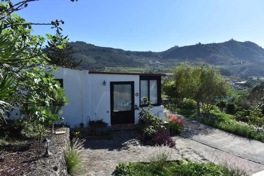 Casita De La Montana De Maria Villa Tegueste Kültér fotó